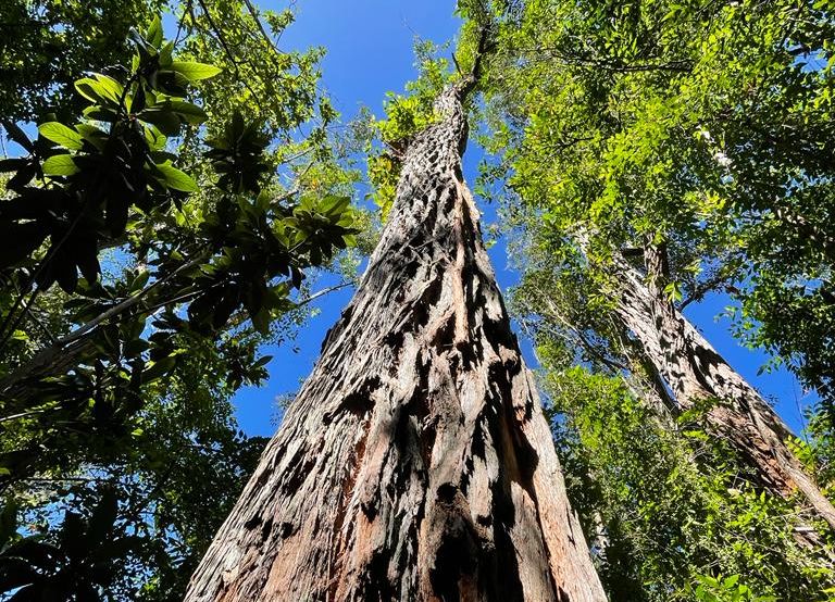 PHOTO-2022-05-19-12-49-17 4