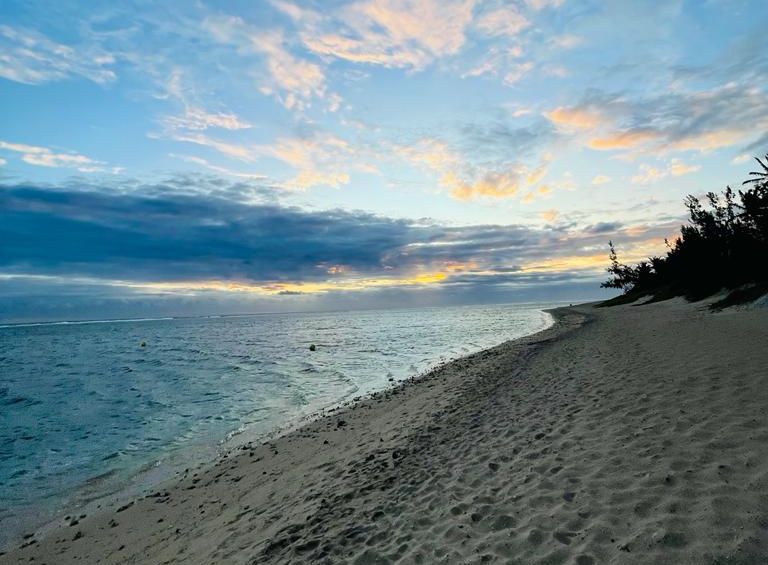 PHOTO-2022-05-19-12-49-18 6